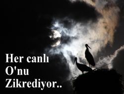 Her şey onu zikrediyor..
